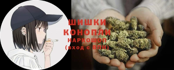 индика Зарайск