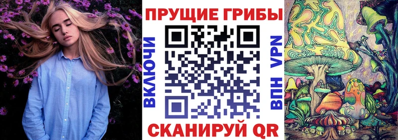 дарнет шоп  Муравленко  Галлюциногенные грибы Psilocybe 