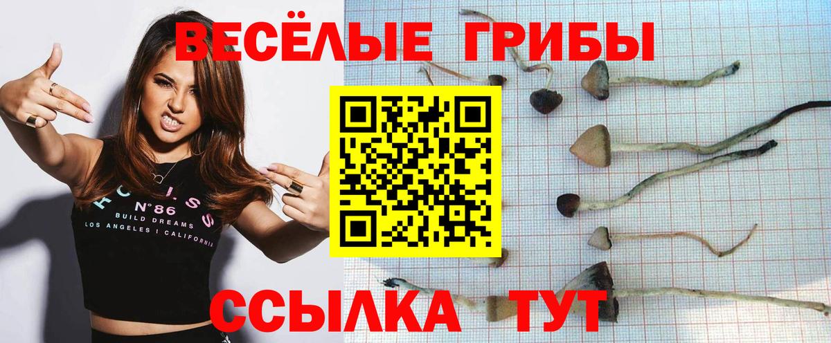Муравленко  Галлюциногенные грибы Cubensis  Вход с VPN  Псилоцибиновые грибы Psilocybe 